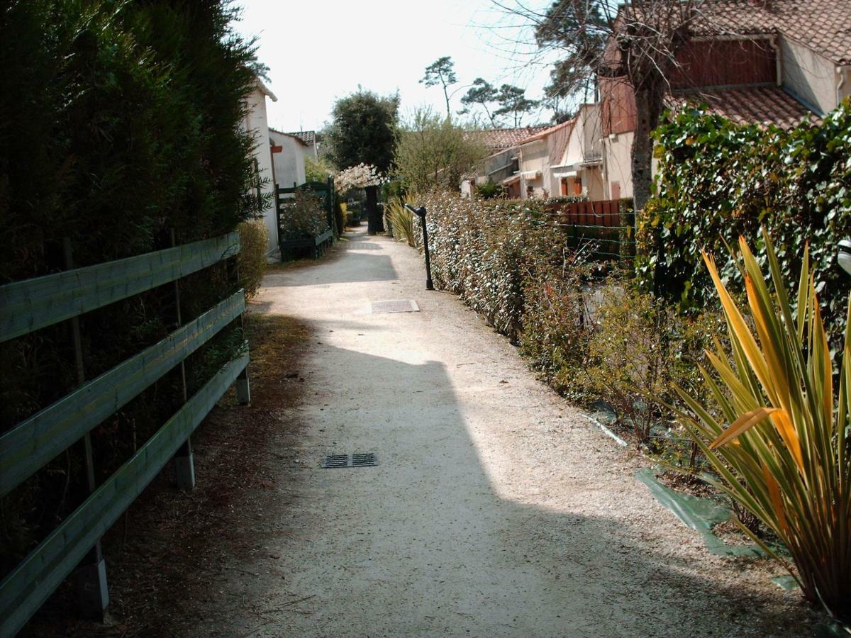 Les Pins Ensoleilles *